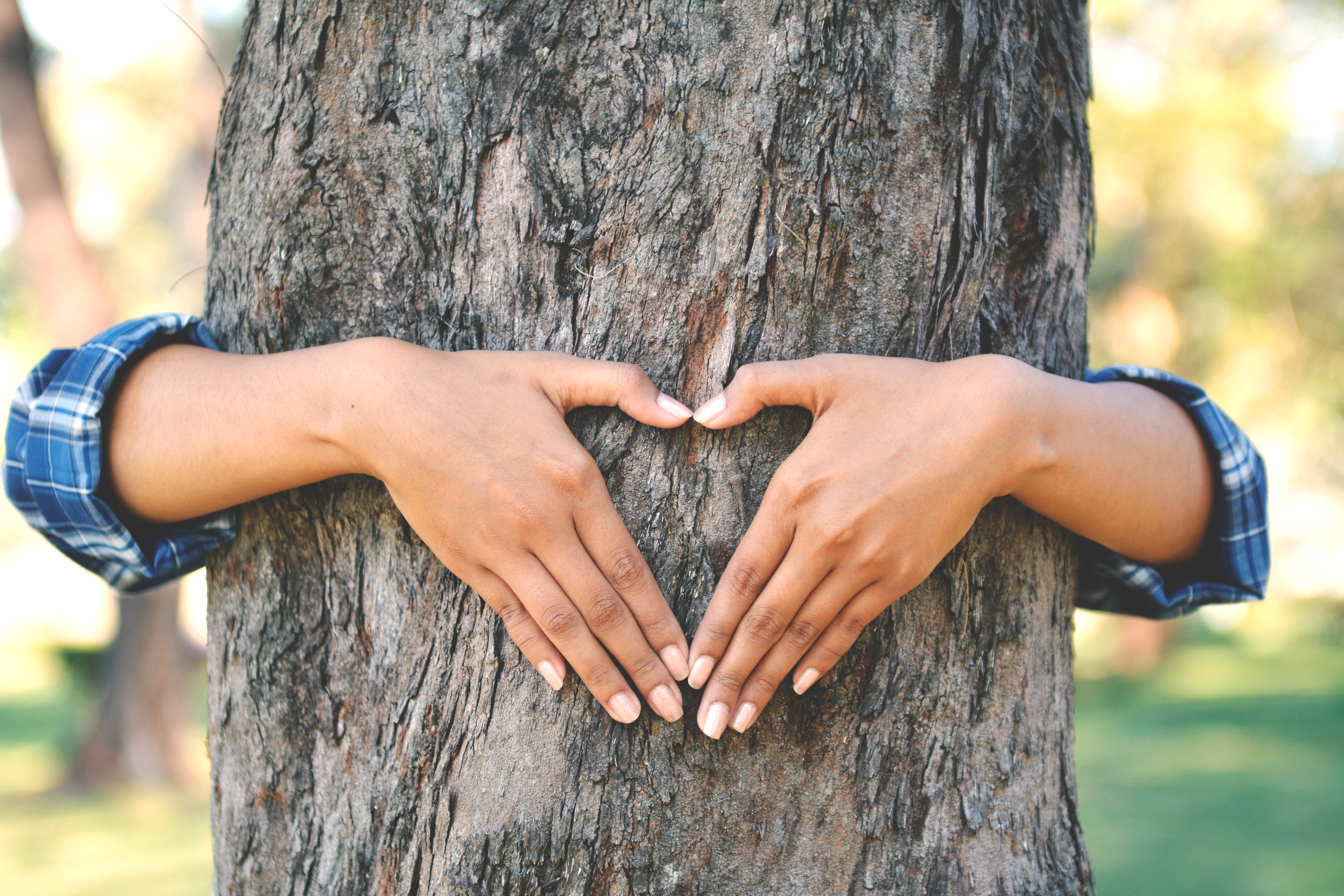 woman's arms hugging a tree and making a heart symbol with hands